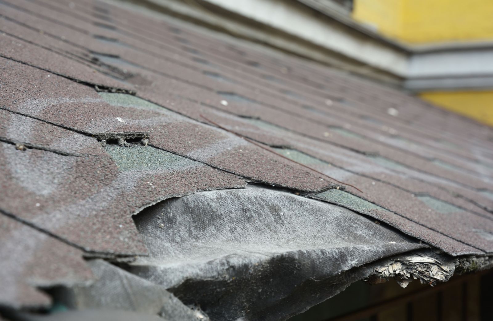 Riconn Roofing Images