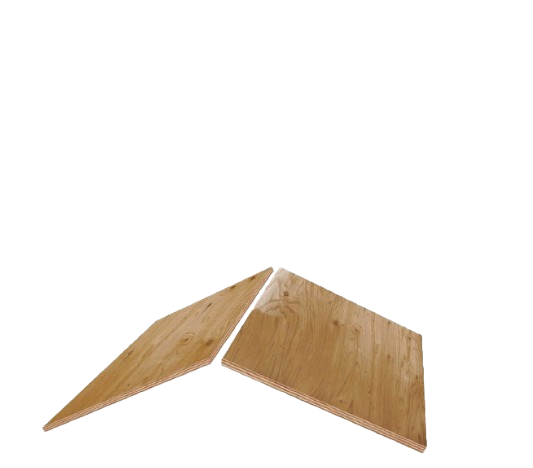 Riconn Roofing Images