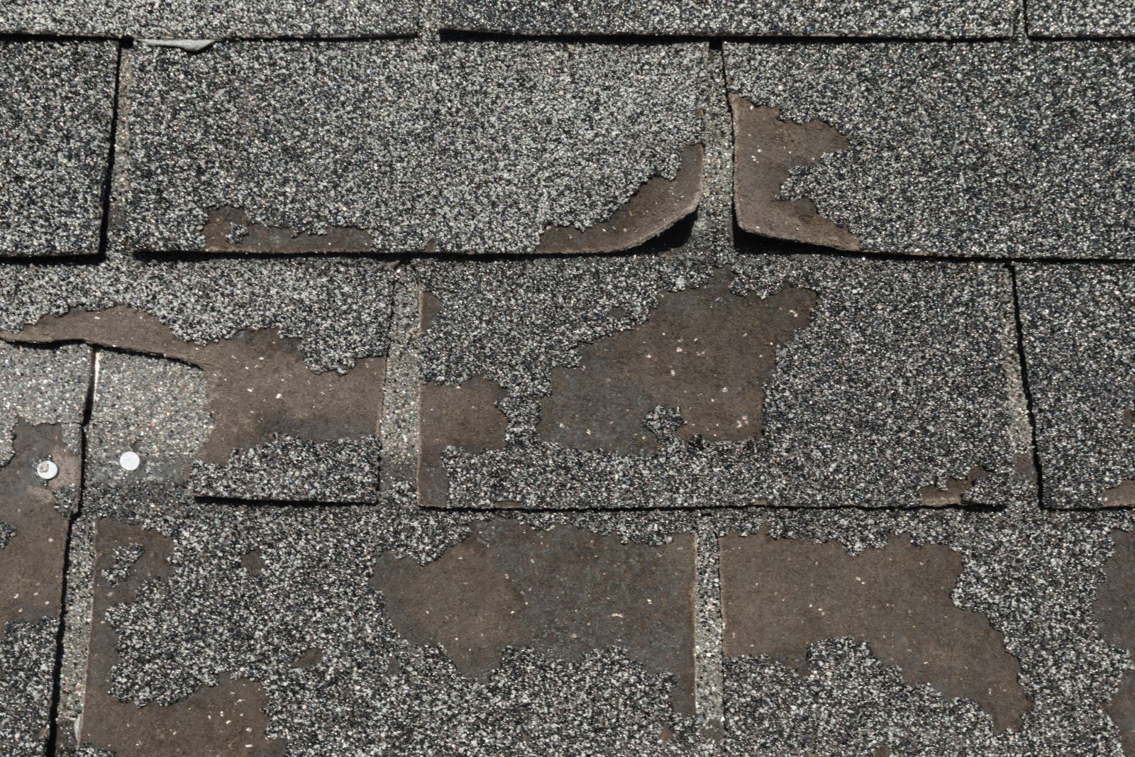 Riconn Roofing Images