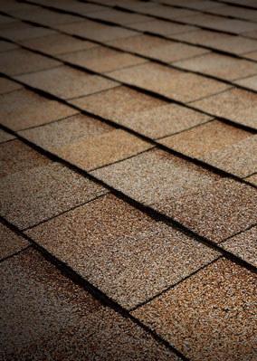 Riconn Roofing Images