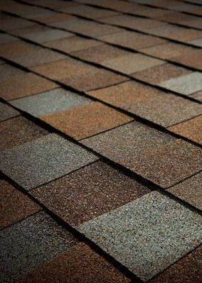 Riconn Roofing Images